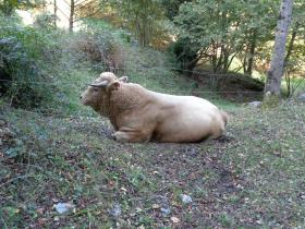 photo coins arrondis